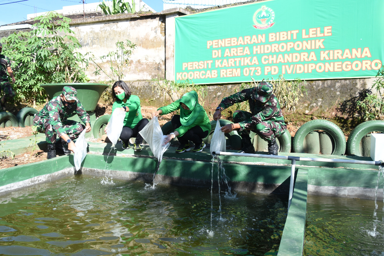 Tingkatkan Ketahanan Pangan, Danrem 073/Makutarama Tabur 750 Ekor Bibit Ikan Lele